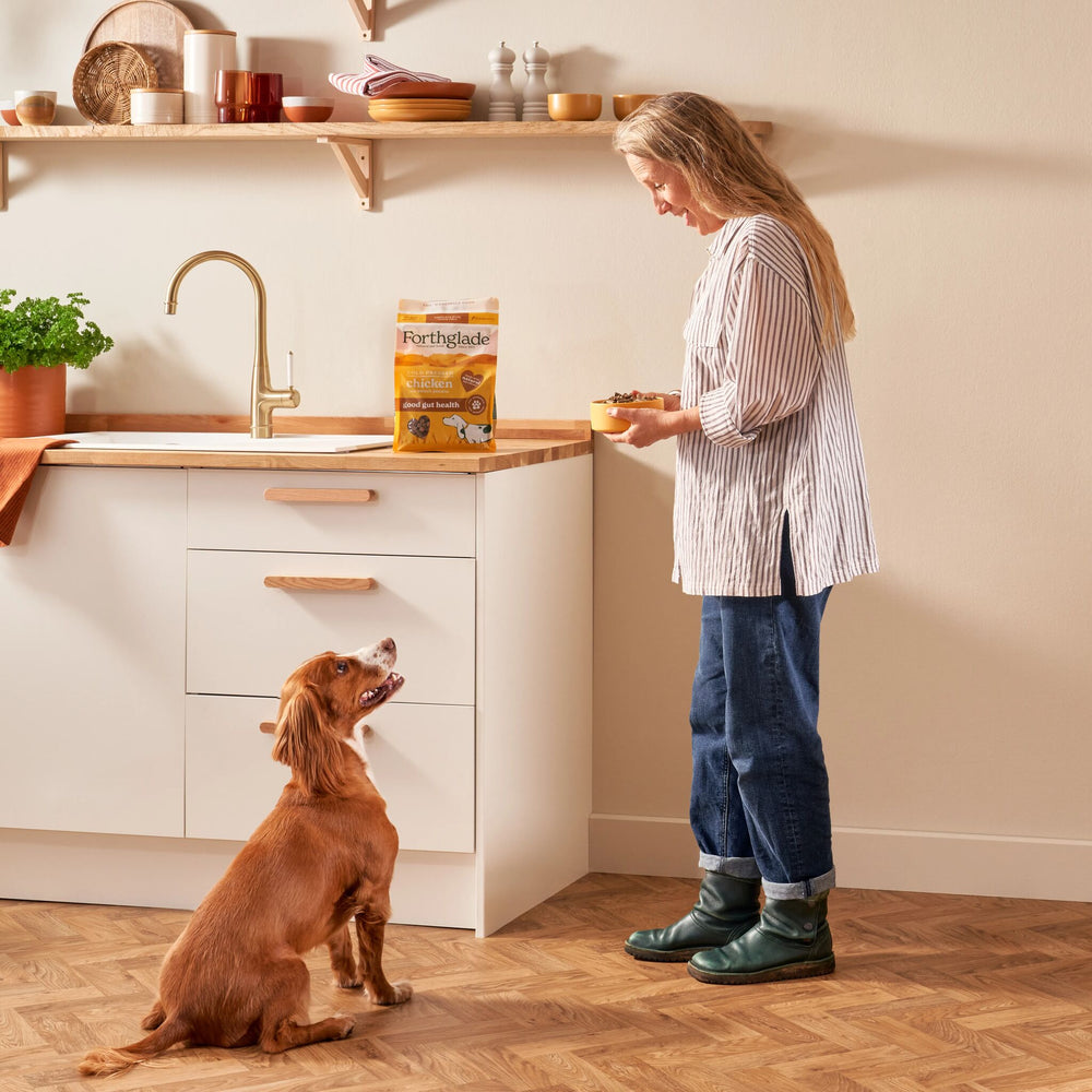 Forthglade Dog Food Taster Pack