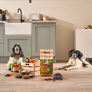 2kg Lightly Baked Chicken Dry Dog Food