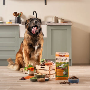Grain Free Chicken Dog Food Mixed Bundle