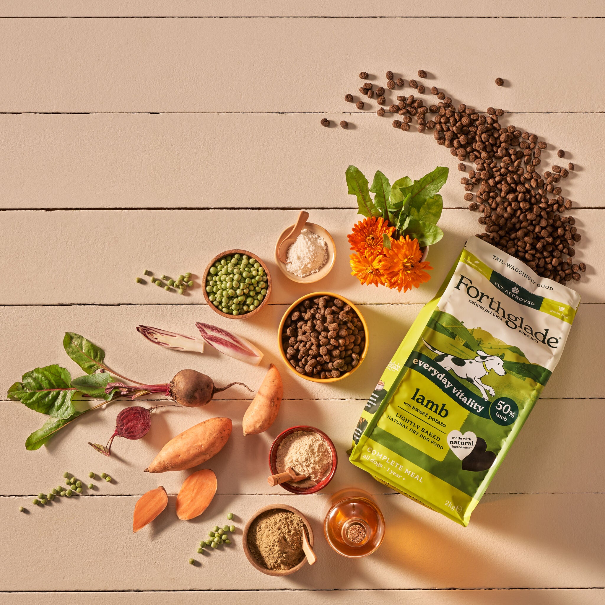 Lightly Baked Natural Dry Dog Food