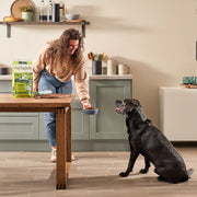 Grain Free Lamb Dog Food Mixed Bundle (1 x 6kg + 18 x 395g)