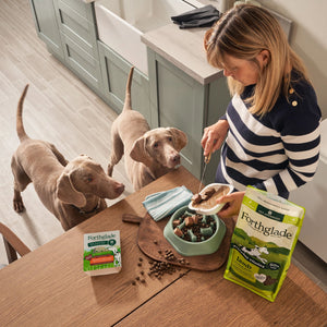 Lightly Baked Lamb Dry Dog Food