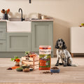 2kg Lightly Baked Turkey Dry Dog Food