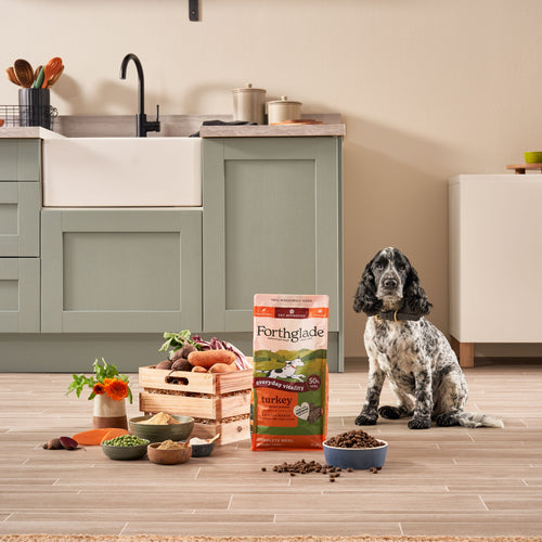 2kg Lightly Baked Turkey Dry Dog Food
