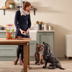Lightly Baked Turkey Dry Dog Food