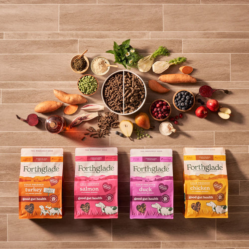 Cold Pressed Natural Dry Dog Food