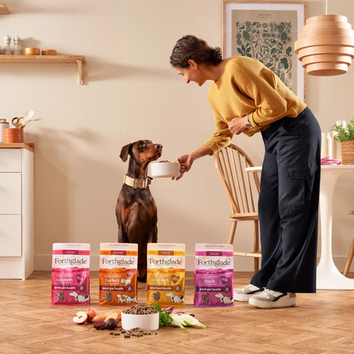 Cold Pressed Natural Dry Dog Food