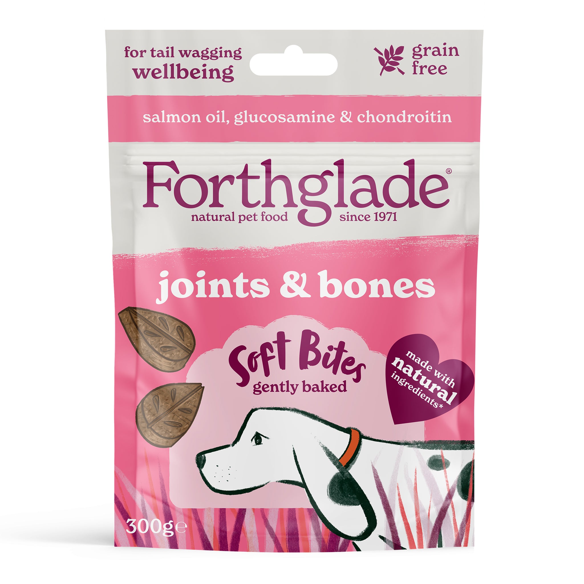 Salmon Oil Treats (1x300g)