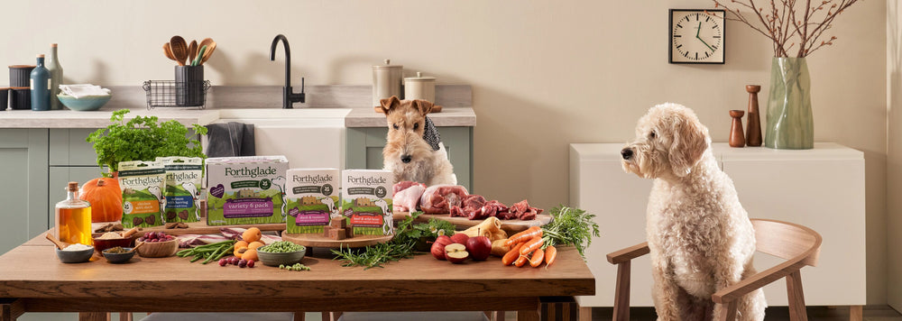 395g 90g NT Range Wide Dog 2   3872 x 1380