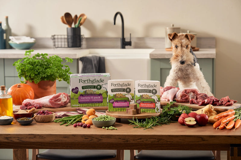 395g NT Range Close Dog 1   Large 737f6e5d d3ea 47bb b4bf a1505bd85206