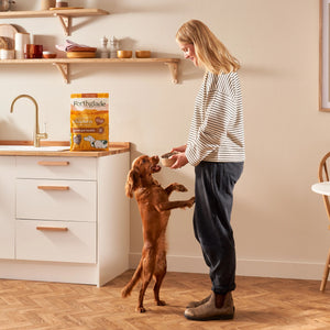 Cold Pressed Poultry Dry Dog Food Bundle (3 x 6kg)