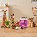 Cold Pressed Poultry Dry Dog Food Bundle (3 x 6kg)