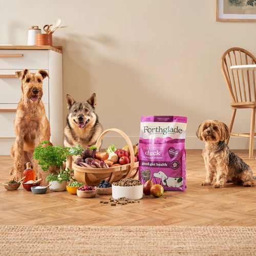 Cold Pressed Poultry Dry Dog Food Bundle (3 x 6kg)