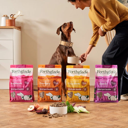 Cold Pressed Dry Dog Food Variety Bundle (4 x 6kg)