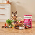 Cold Pressed Salmon Dry Dog Food