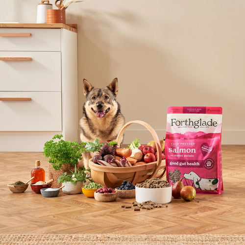 Cold Pressed Salmon Dry Dog Food