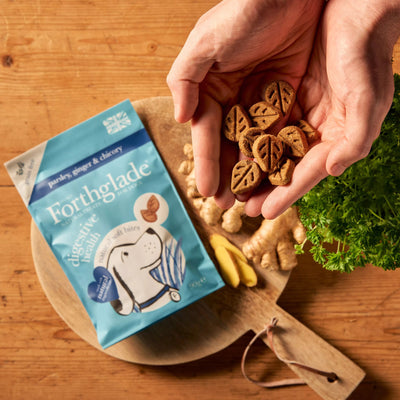 Digestive Health Multi-Functional Soft Bites With Parsley, Ginger & Chicory