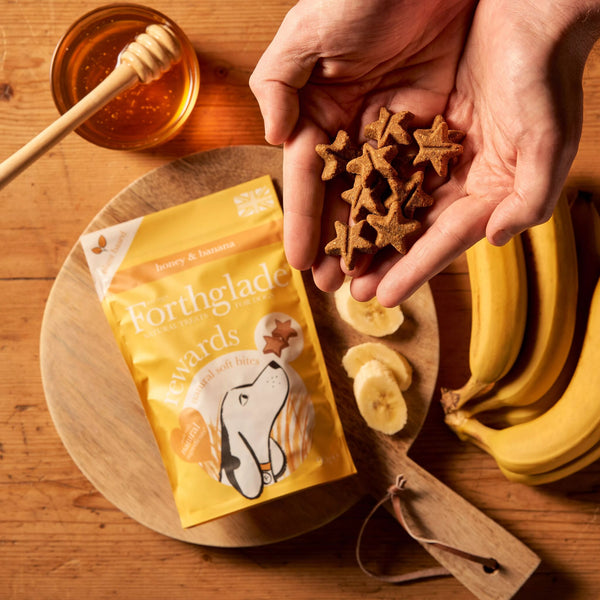 Illustration of Honey And Banana For Dog Digestion