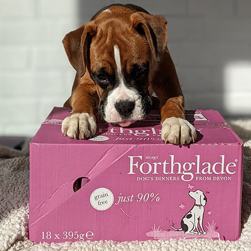 Ambassadog Just 1