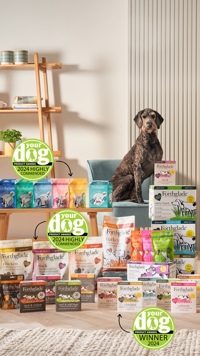 Natural Wet Dog Food Healthy Wet Food for Dogs Forthglade