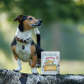 British Classics Chicken Family Lunch Wet Dog Food