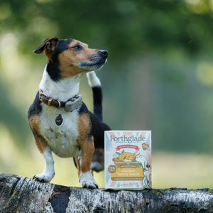 British Classics Chicken Family Lunch Wet Dog Food