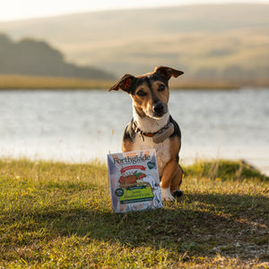 British Classics Lamb Shepherd's Pie Wet Dog Food