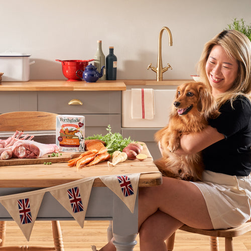British Classics Turkey Stew Wet Dog Food