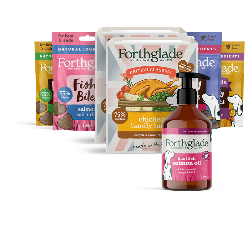 BC 395g Taster Treats Bundle 790px