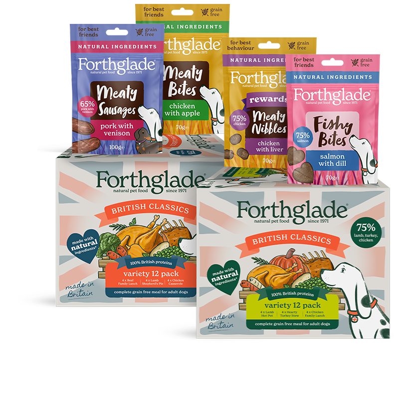 BC Variety Meaty Treats Bundle 790px