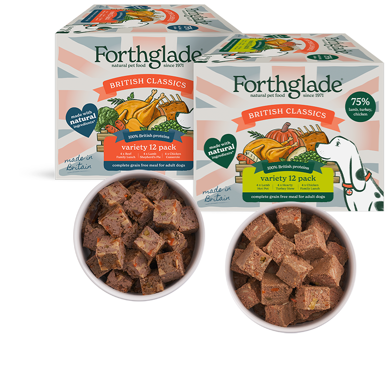 BC Variety Multipack Bundle 790px