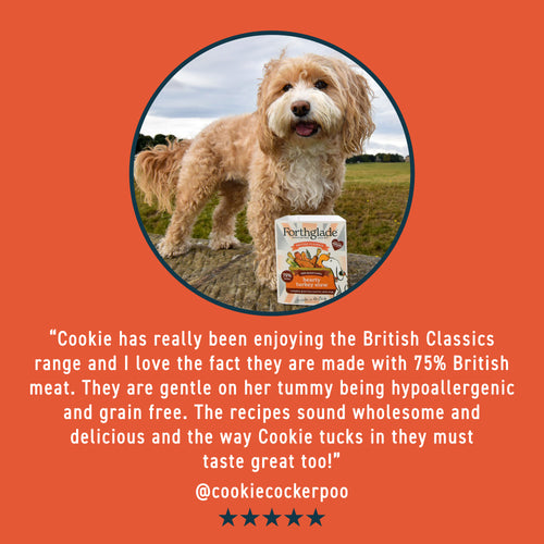 British Classics Chicken Family Lunch Wet Dog Food