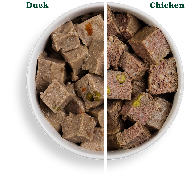 BR 12x395g VP PUP Duck Chicken Split Bowls 790px