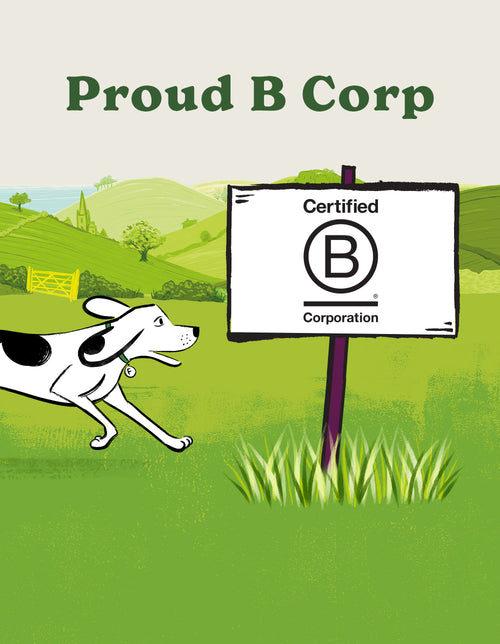 Puppy Chicken & Lamb Wet Dog Food Variety Pack