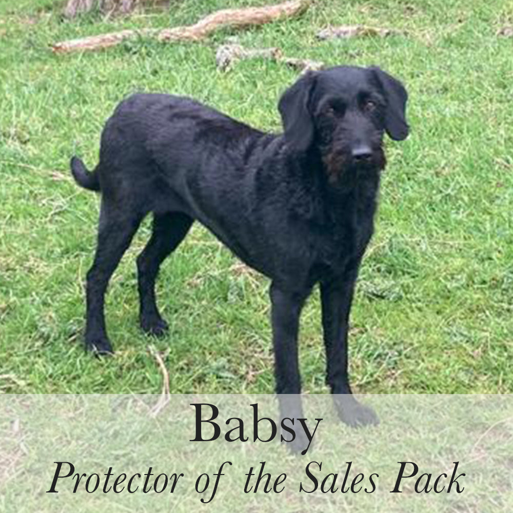 Babsy Protector of the Sales Pack fd40cb42 bc2b 47aa bba9 6e56a43f41ba