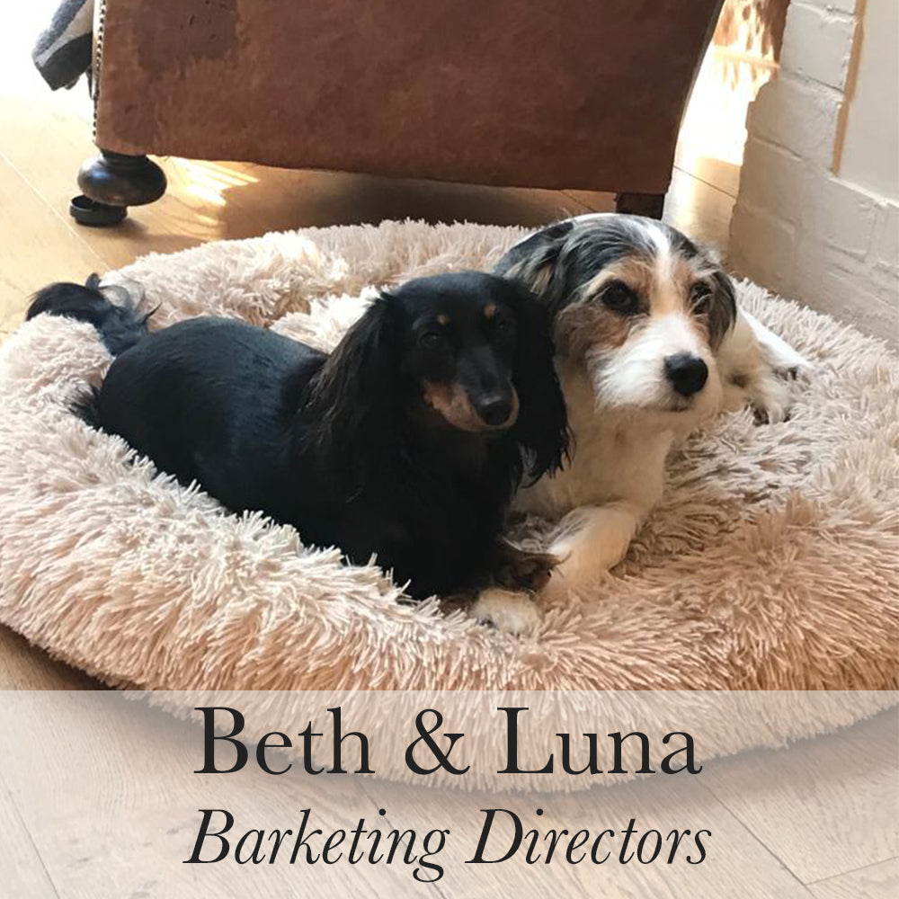 Beth Luna Barketing Directors