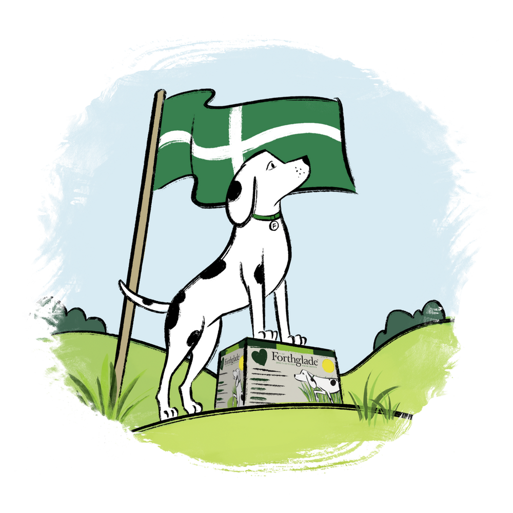 Brand Value 1 Devon flag   Medium 8f1571e5 c3b0 467d 97e8 6948d70d35cd