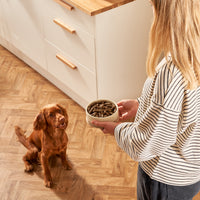 Forthglade Dog Food Taster Pack
