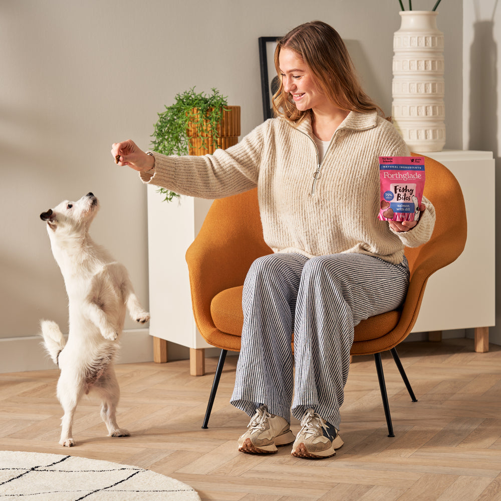 Fishy Treats Dog Treat Bundle