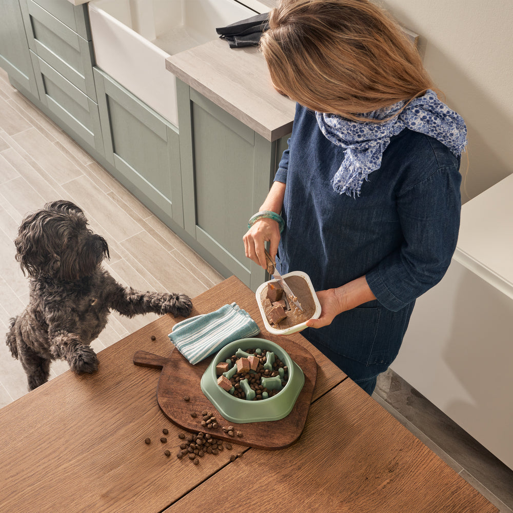 Grain Free Lamb Dog Food Mixed Bundle (1 x 6kg + 18 x 395g)