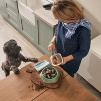 Grain Free Lamb Dog Food Mixed Bundle (1 x 6kg + 18 x 395g)
