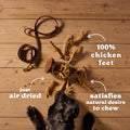 Natural Cuts Air Dried Chicken Feet - Meaty Dog Treats