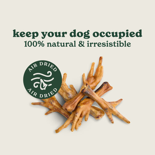 Natural Cuts Air Dried Chicken Feet - Meaty Dog Treats