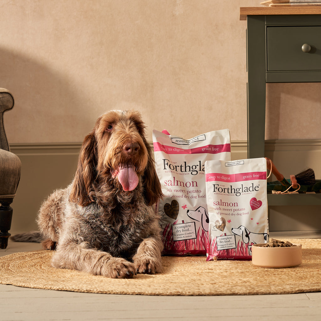 Cold Pressed Salmon Natural Dry Dog Food Forthglade