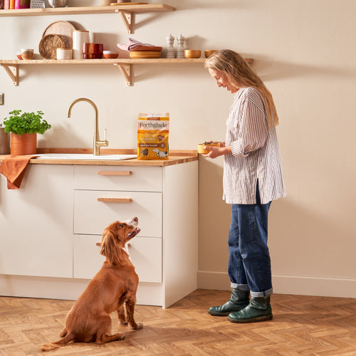 Cold Pressed Chicken Dry Dog Food