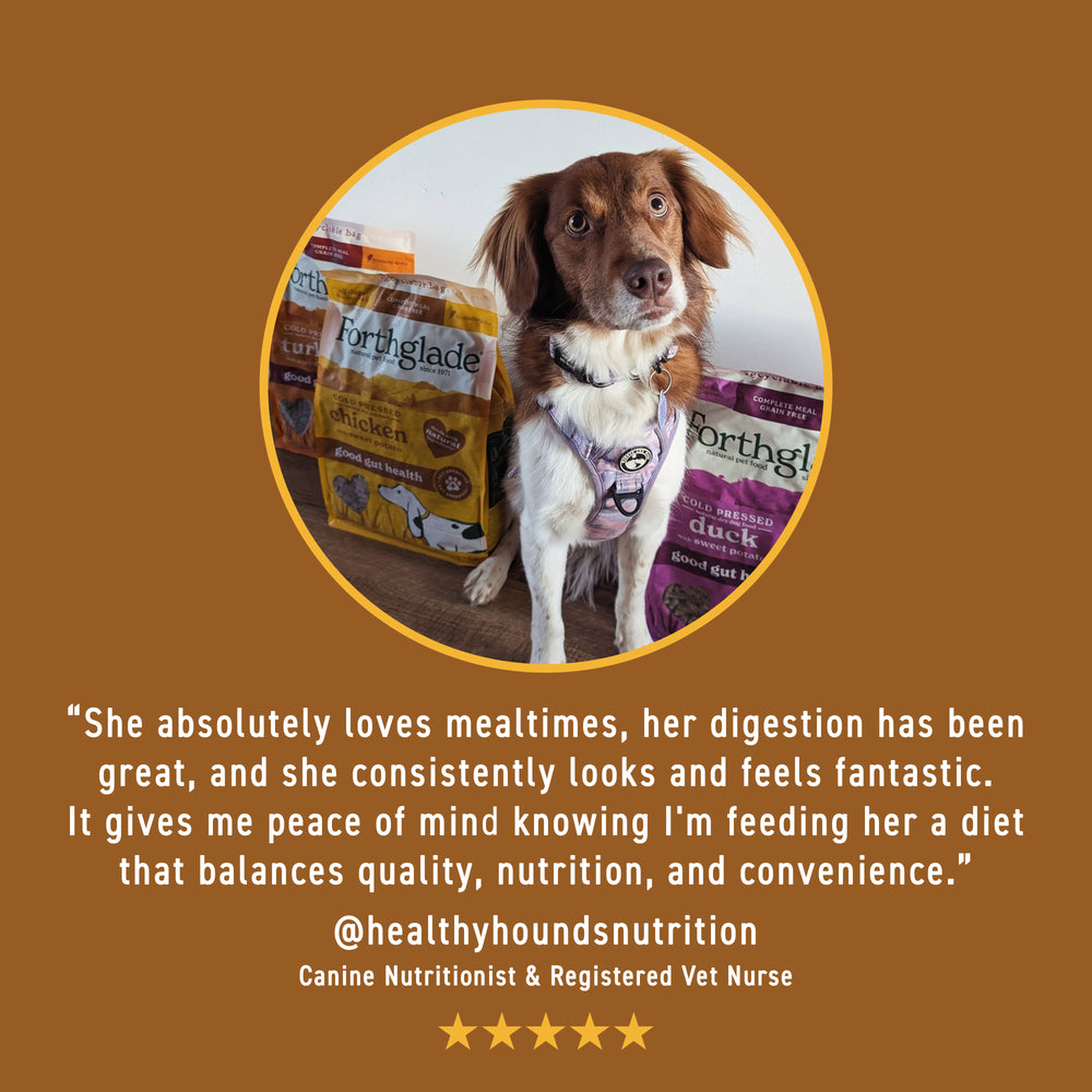 Cold Pressed Chicken Dry Dog Food