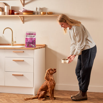 Cold Pressed Duck Dry Dog Food