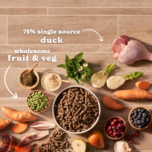 Cold Pressed Duck Dry Dog Food