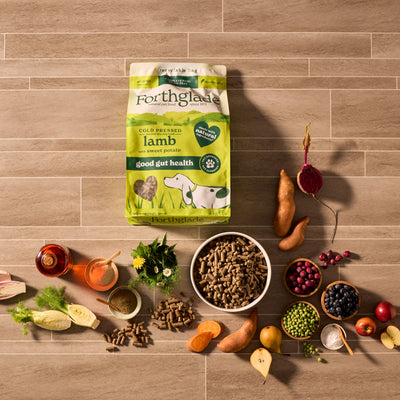 Cold Pressed Lamb Dry Dog Food