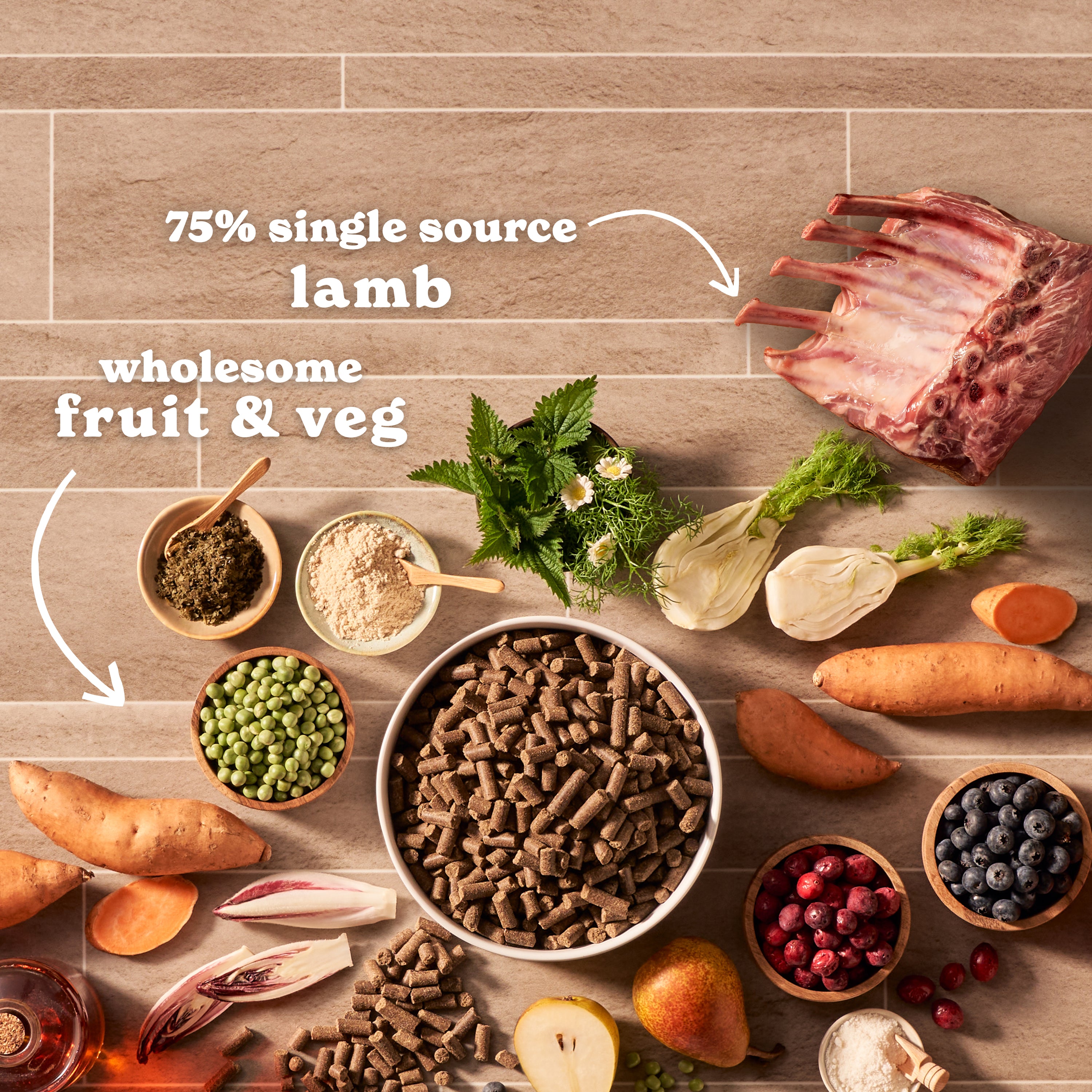 Cold Pressed Lamb Dry Dog Food